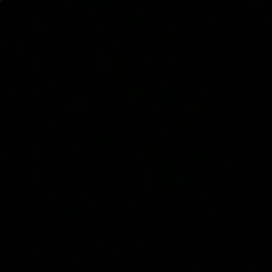 Meet your Posher, Zach